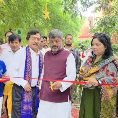 dsm lions public school